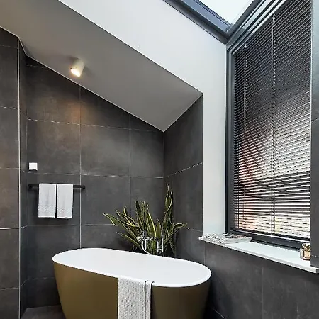 High Ceiling Loft With Its Own Backyard And A Terrace Appartement