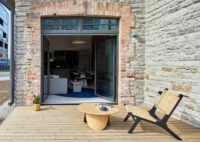 公寓 High Ceiling Loft With Its Own Backyard And A Terrace 塔林