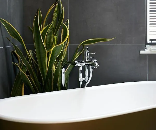 Lägenhet High Ceiling Loft With Its Own Backyard And A Terrace Tallinn