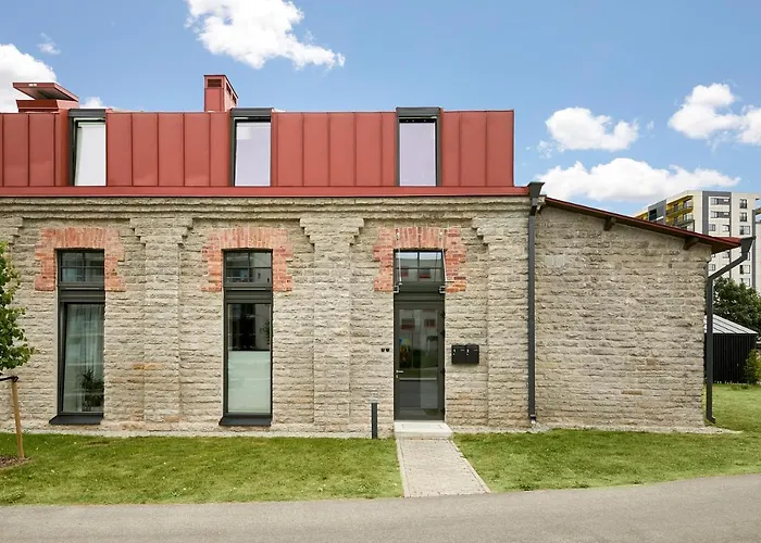High Ceiling Loft With Its Own Backyard And A Terrace 公寓