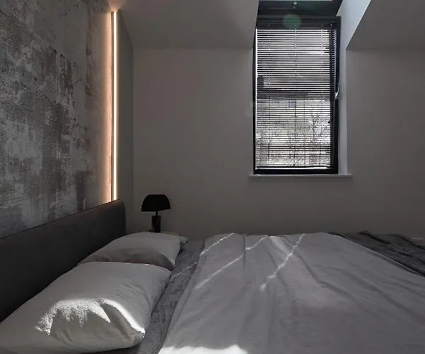 High Ceiling Loft With Its Own Backyard And A Terrace 塔林