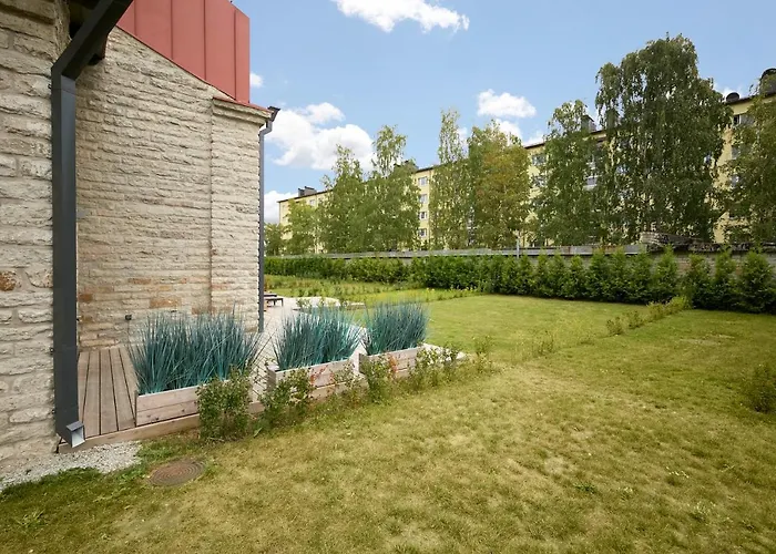 High Ceiling Loft With Its Own Backyard And A Terrace