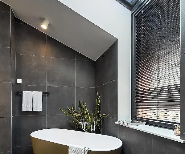 High Ceiling Loft With Its Own Backyard And A Terrace Appartement