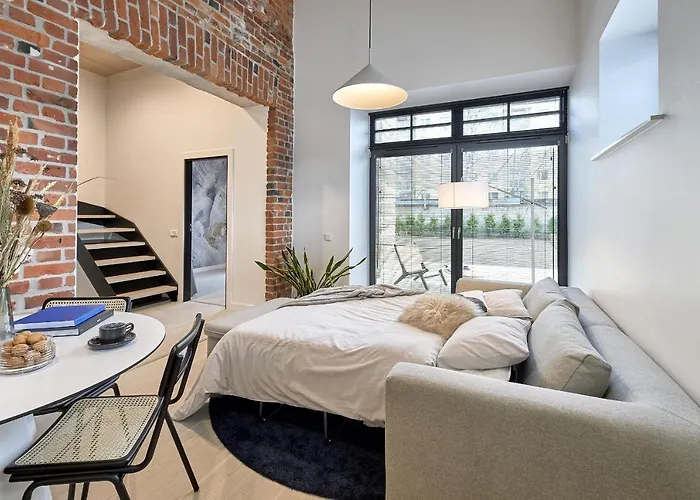 Appartement High Ceiling Loft With Its Own Backyard And A Terrace Tallinn